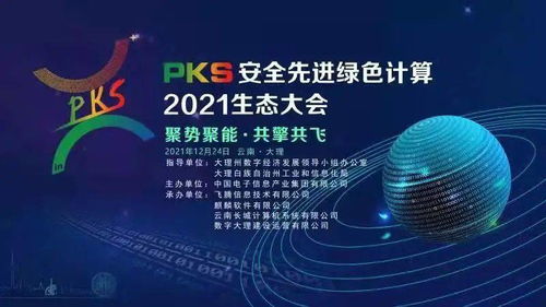 展望 數(shù)字大理 云南首個(gè)滇西技術(shù)服務(wù)中心在大理成立