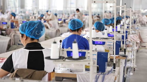 夏津 要素 服務(wù) 雙輪驅(qū)動 為企業(yè)創(chuàng)新發(fā)展賦能